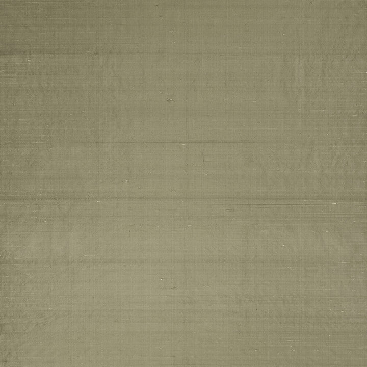 Slyph Tan by Clarke And Clarke Designer Fabric WILDERIE BY EMMA J SHIPLEY FOR C&C SILK - 100% India Horizontal: 0 and Vertical: 0 54 - Swanky Fabrics -