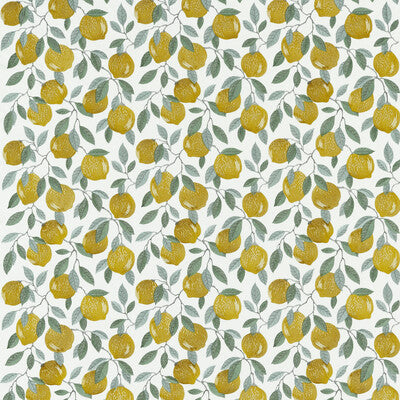 F1508/01.CAC.0 by Clarke And Clarke Fabric Clarke And Clarke Fabric F1508/01.CAC.0Fabric CLARKE & CLARKE POMARIUM COTTON - 100% India </p><p>Repeat: H: 17.05, V: 18.9 51.18 - Fabric Carolina -