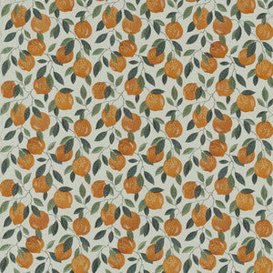 Clarke And Clarke Fabric Sicilian Orange