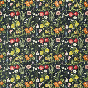 Clarke And Clarke Fabric Sorento Ebony Velvet