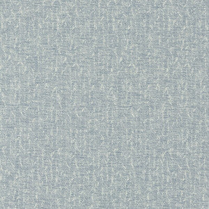 Clarke And Clarke Fabric Tierra Denim