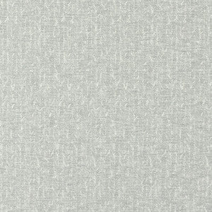 Clarke And Clarke Fabric Tierra Pewter