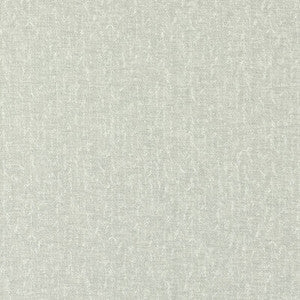 Clarke And Clarke Fabric Tierra Silver