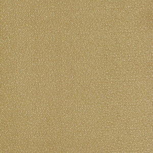 Clarke And Clarke Fabric Ricamo Ochre
