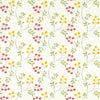 Clarke And Clarke Fabric Rochelle Summer
