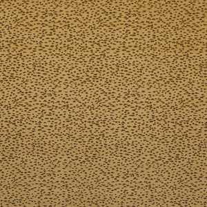 Clarke And Clarke Fabric Astral Gold