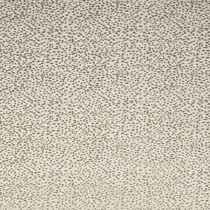 Clarke And Clarke Fabric Astral Stone