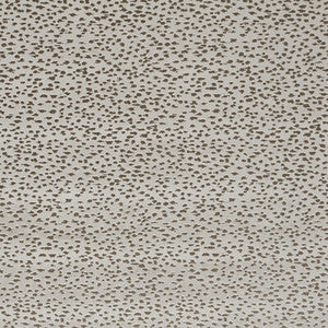 Clarke And Clarke Fabric Astral Taupe