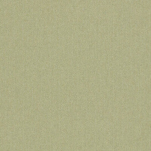 Clarke And Clarke Fabric Rowland Olive