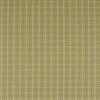 Clarke And Clarke Fabric Thornton Olive