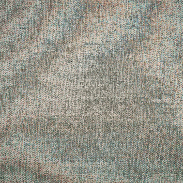 F1577 Silver by Greenhouse Designer Fabric 100% Polyester China 60,000 double rubs </p><p>Repeat: None 58" - Swanky Fabrics -