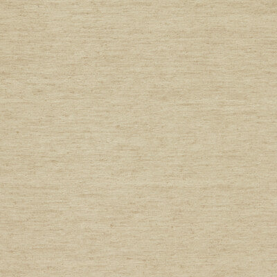 Clarke And Clarke - Drapery - F1608/02.CAC.0 - Drapery - POLYESTER - 100% - India </p><p>Repeat: H: , V: 27.5 21 - My Fabric Connection -