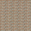 Clarke And Clarke Fabric Cosmic Spice F1616/06.CAC.0
