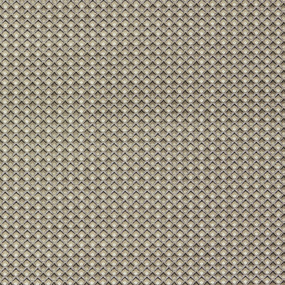 Clarke And Clarke - Upholstery - F1617/02.CAC.0 - Upholstery - VISCOSE - 57%;POLYESTER - 30%;COTTON - 13% - Turkiye </p><p>Repeat: H: , V: 27.5 21 - My Fabric Connection -