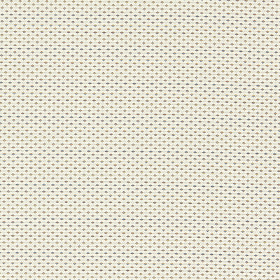 Clarke And Clarke - Upholstery - F1620/03.CAC.0 - Upholstery - POLYESTER - 82%;COTTON - 18% - Turkiye </p><p>Repeat: H: , V: 27.5 21 - My Fabric Connection -