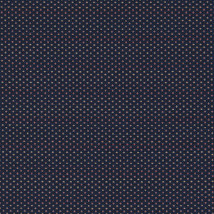 Clarke And Clarke Fabric Pavo Midnight F1620/04.CAC.0