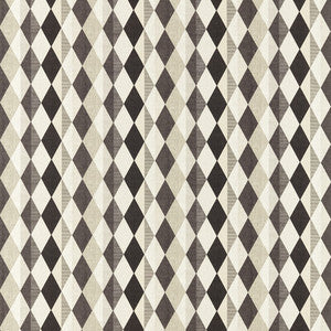 Clarke And Clarke Fabric Denver Monochrome F1637/02.CAC.0