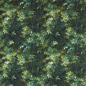 Clarke And Clarke Fabric Congo Outdoor F1666/01.CAC.0