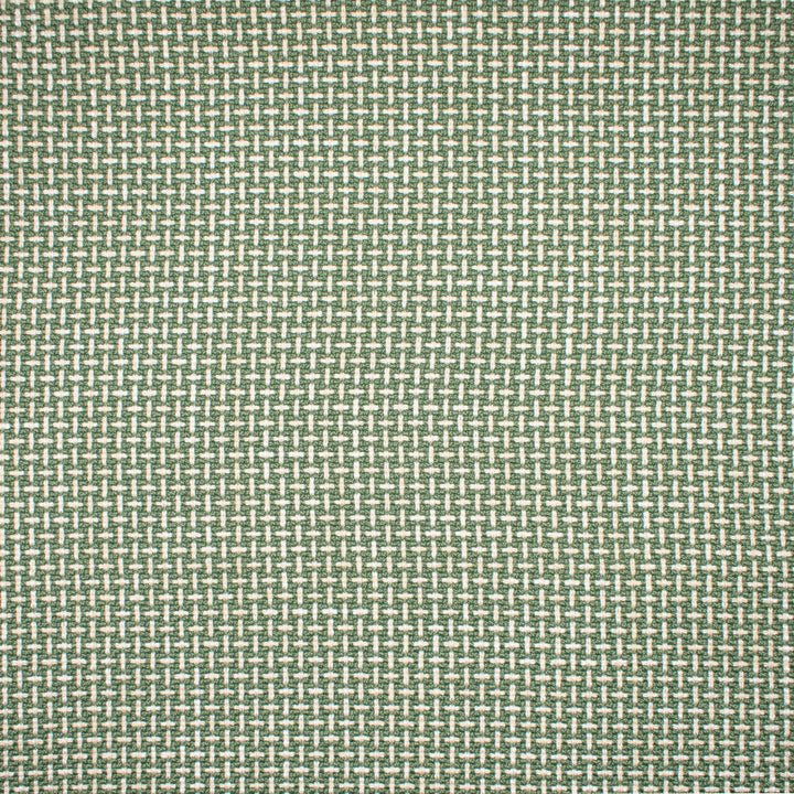 F1672 Sprout by Greenhouse Designer Fabric 100% Polyester China 75,000 </p><p>Repeat: .5" H, .5" V 57" - Swanky Fabrics -