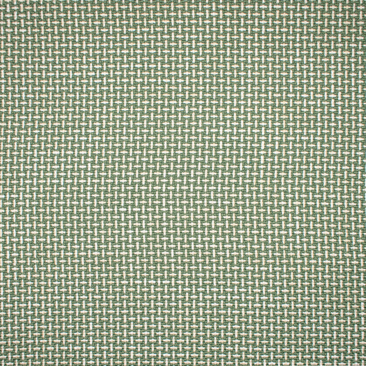 F1672 Sprout by Greenhouse Designer Fabric 100% Polyester China 75,000 double rubs </p><p>Repeat: .5" H, .5" V 57" - Swanky Fabrics -