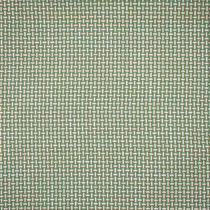 Greenhouse Fabric F1672 Sprout