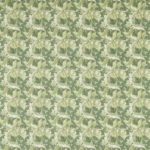 Clarke And Clarke Fabric Acanthus Apple/Sage F1681/02.CAC.0