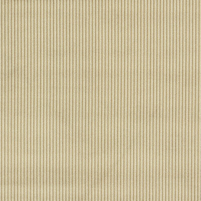 Clarke And Clarke - Upholstery - F1688/01.CAC.0 - Upholstery - POLYESTER - 100% - India </p><p>Repeat: H: , V: 27.5 21 - My Fabric Connection -