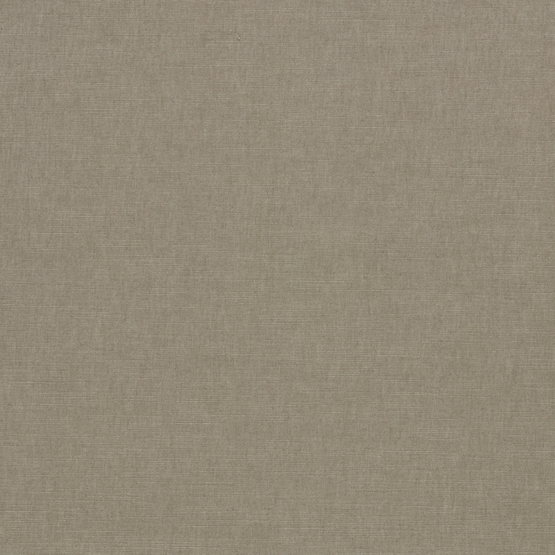 Clarke & Clarke Fabric Paradiso - Ash