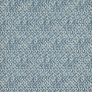 Clarke And Clarke Fabric Pokot Caribbean F1714/01.CAC.0