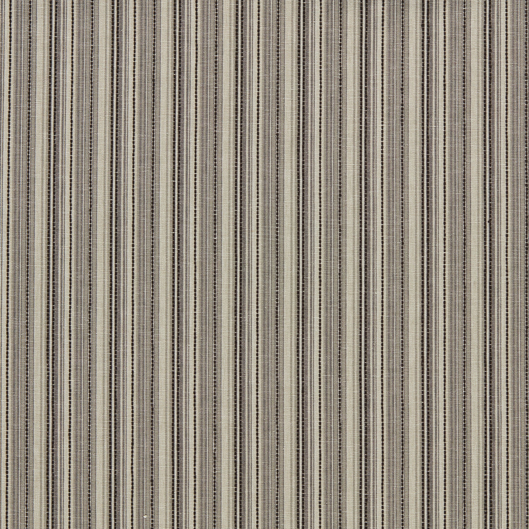 Clarke & Clarke Fabric Ponto - Charcoal