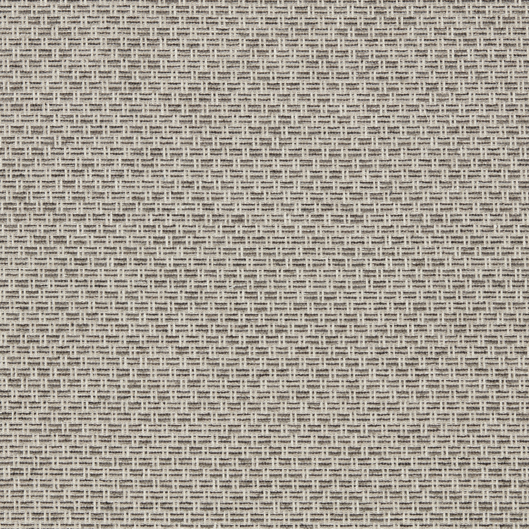 Clarke & Clarke Fabric Tecido - Charcoal