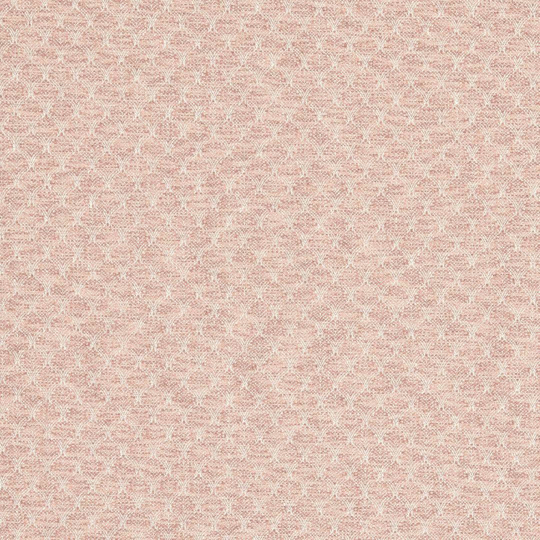 Clarke & Clarke Fabric Trelica - Blush