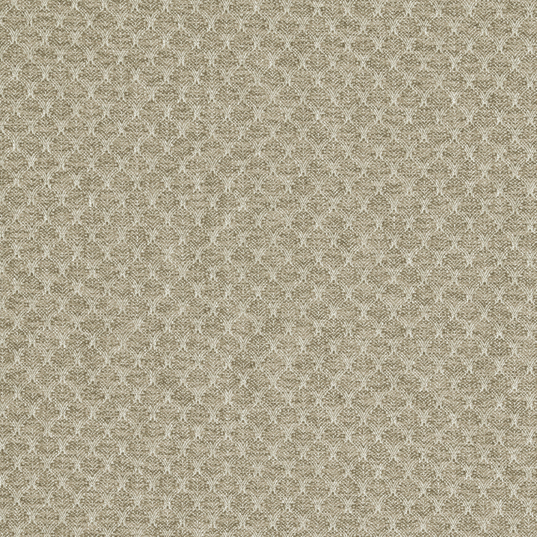 Clarke & Clarke Fabric Trelica - Natural