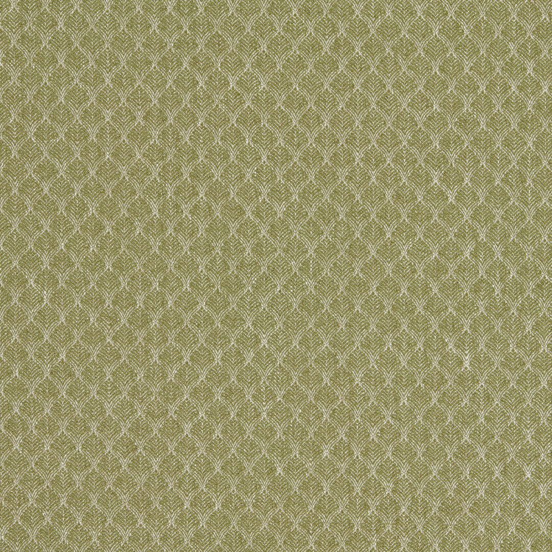 Clarke & Clarke Fabric Trelica - Olive