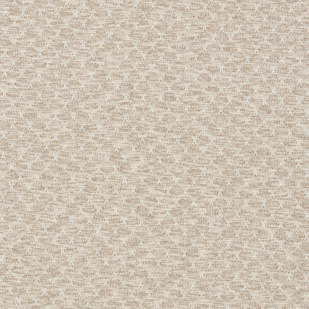 Clarke & Clarke Fabric Trelica - Pebble