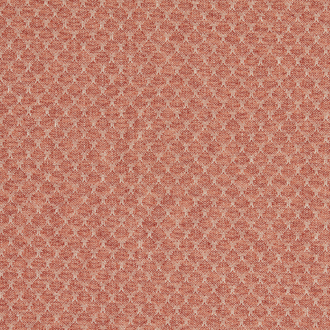 Clarke & Clarke Fabric Trelica - Spice