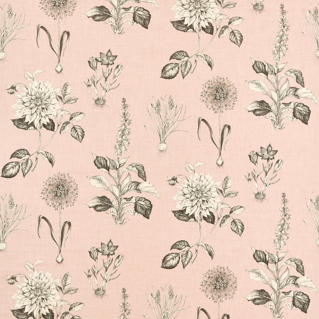 Clarke & Clarke Fabric Roseraie - Blush