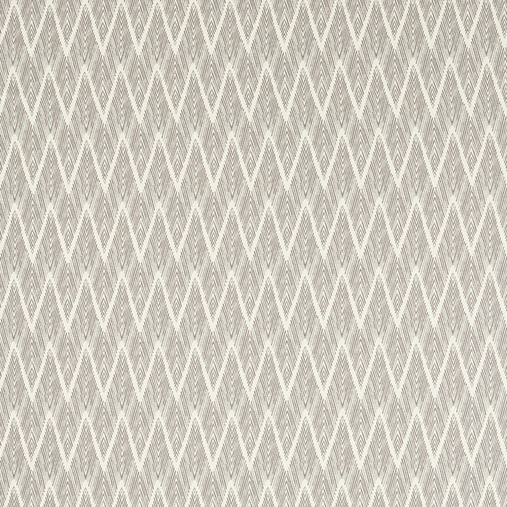 Clarke & Clarke Fabric Holzer - Slate