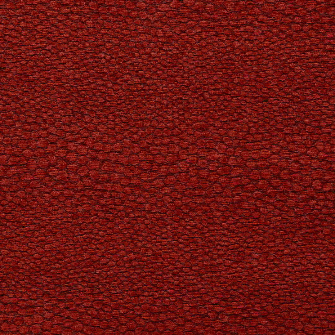 Clarke & Clarke Fabric Castus - Spice