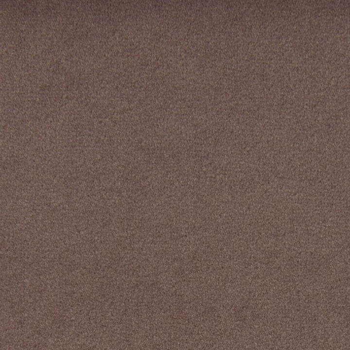 F1793 Dove by Greenhouse Designer Fabric 100% Polyester China 100,000 </p><p>Repeat: None 54" - Swanky Fabrics -