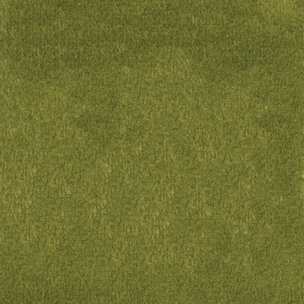 F1837 Fern by Greenhouse Designer Fabric 100% Polyester China 102,000 double rubs </p><p>Repeat: None 54" - Swanky Fabrics -