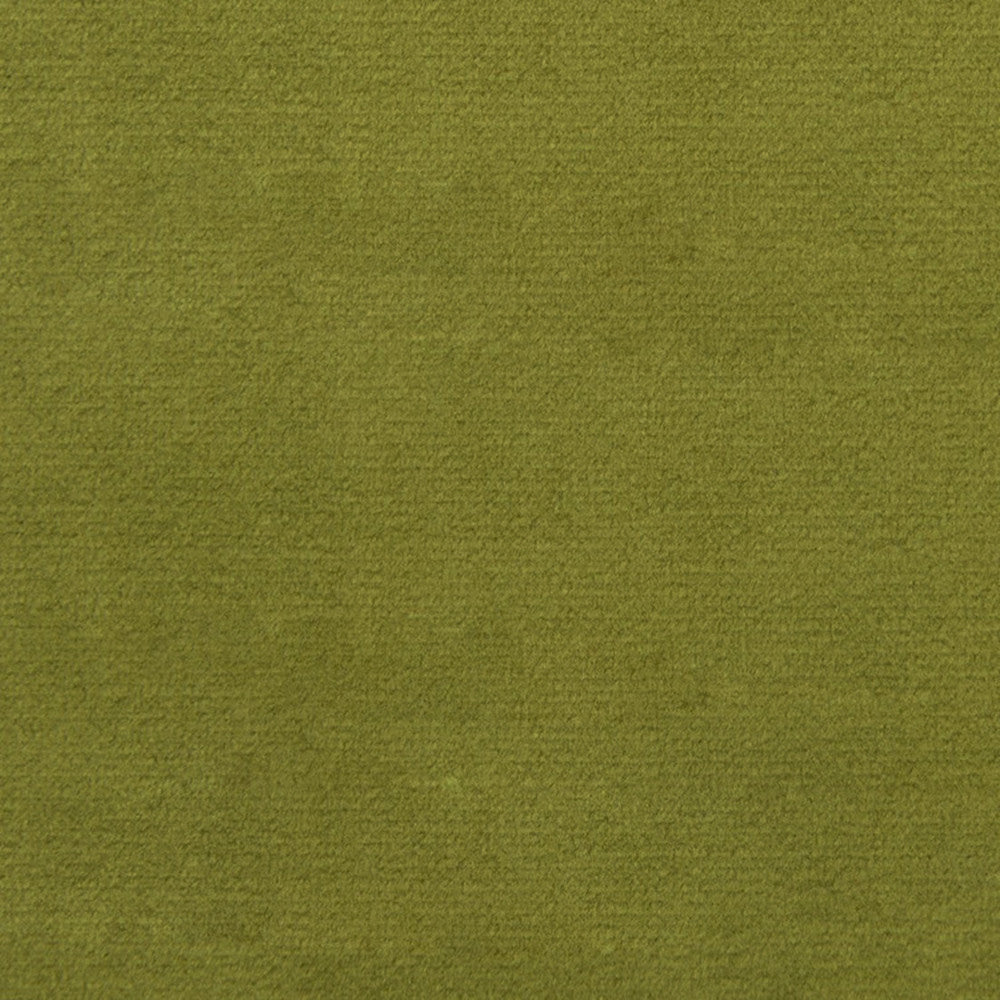 F1837 Fern by Greenhouse Designer Fabric 100% Polyester China 102,000 </p><p>Repeat: None 54" - Swanky Fabrics -