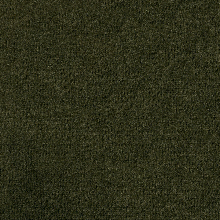 F1839 Moss by Greenhouse Designer Fabric 100% Polyester China 102,000 double rubs </p><p>Repeat: None 54" - Swanky Fabrics -