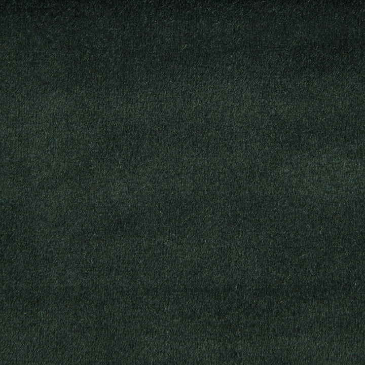 F1842 Pine by Greenhouse Designer Fabric E91: Value Color 100% Polyester China 60,000 double rubs </p><p>Repeat: None 54" - Swanky Fabrics -