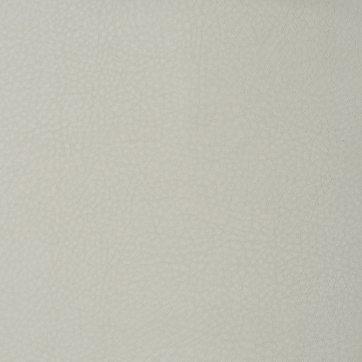 F1853 Cloud by Greenhouse Designer Fabric Contents: 100% Polyurethane, Backing: 65% Polyester, 35% Cotton China 200,000 double rubs </p><p>Repeat: NONE 54" - Swanky Fabrics -