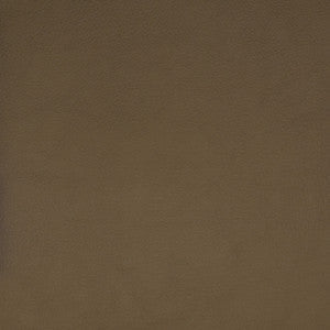 Greenhouse Fabric F1859 Beige