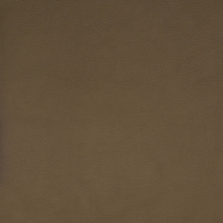 F1859 Beige by Greenhouse Designer Fabric E65: Vinyl Contents: 100% Polyerethane, Backing: 85% Polyester, 15% Cotton China 100,000 double rubs </p><p>Repeat: NONE 58" - Swanky Fabrics -