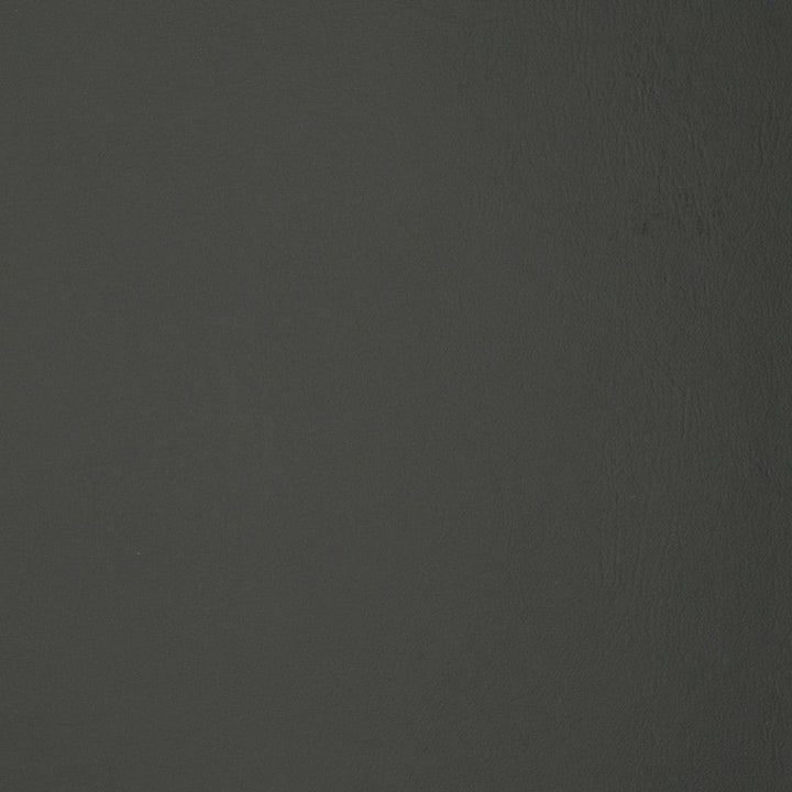 F1879 Slate by Greenhouse Designer Fabric E65: Vinyl Contents: 100% Polyvinyl Chloride (Pvc), Backing: 100% Polyester China 500,000 double rubs </p><p>Repeat: NONE 54" - Swanky Fabrics -