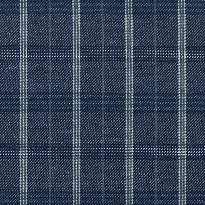 F200-124 by Charlotte Designer Fabric Horizon 85% Recycled Polyester, 15% Polyester Made In USA Exceeds 100,000 Wyzenbeek Rubs (Heavy Duty) </p><p>Repeat: Horizontal 4" x Vertical 7.5" 54 Inches - Swanky Fabrics -