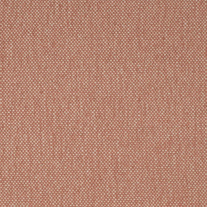 Charlotte Fabric F200-161